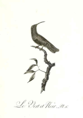 Reproducción/Reproduction 8597938646: Histoire naturelle et générale des colibris, oiseaux-mouches, jacamars et promerops /. A Paris,chez Desray,an XI=1802.