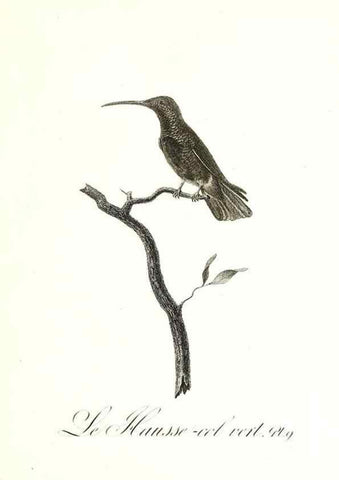Reproducción/Reproduction 8597939682: Histoire naturelle et générale des colibris, oiseaux-mouches, jacamars et promerops /. A Paris,chez Desray,an XI=1802.