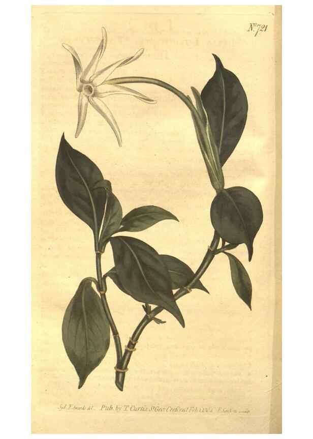 Reproducción/Reproduction 8447531363: Curtis's botanical magazine.. London ;New York [etc.] :Academic Press [etc.]