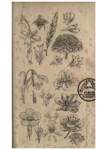 Reproducción/Reproduction 8447398551: A grammar of botany,. London,Longman,1821.