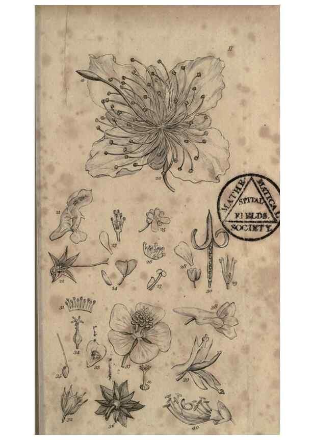 Reproducción/Reproduction 8447399243: A grammar of botany,. London,Longman,1821.