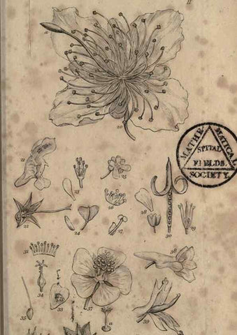 Reproducción/Reproduction 8447399243: A grammar of botany,. London,Longman,1821.