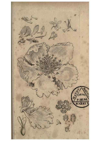 Reproducción/Reproduction 8447399677: A grammar of botany,. London,Longman,1821.