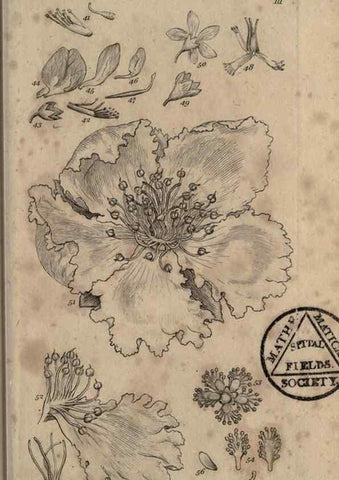 Reproducción/Reproduction 8447399677: A grammar of botany,. London,Longman,1821.