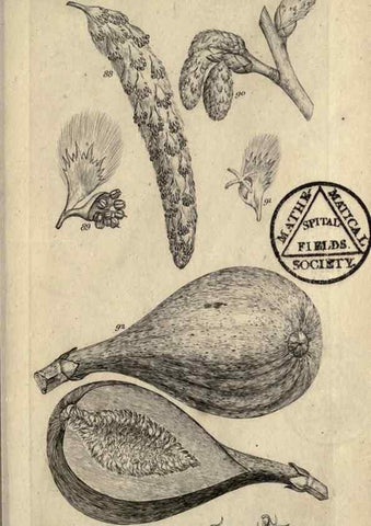 Reproducción/Reproduction 8447401373: A grammar of botany,. London,Longman,1821.