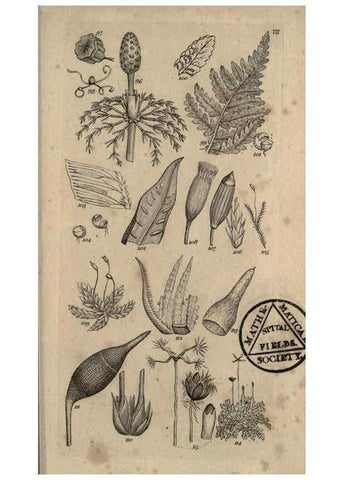 Reproducción/Reproduction 8448491020: A grammar of botany,. London,Longman,1821.