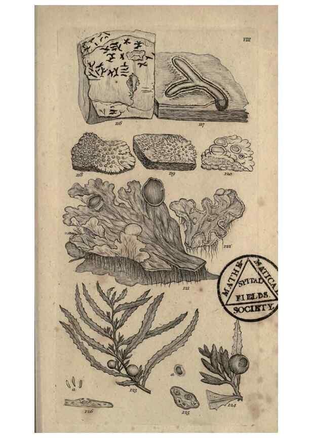 Reproducción/Reproduction 8447402427: A grammar of botany,. London,Longman,1821.
