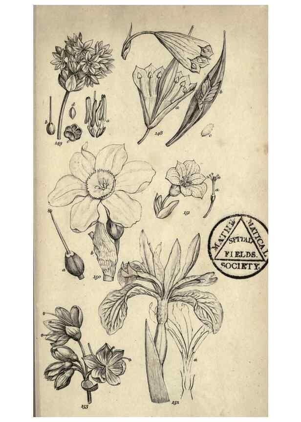 Reproducción/Reproduction 8448494098: A grammar of botany,. London,Longman,1821.