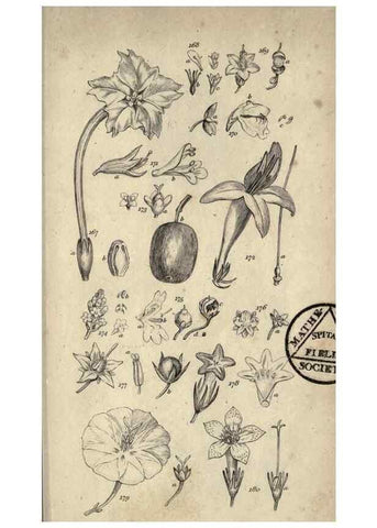 Reproducción/Reproduction 8448495206: A grammar of botany,. London,Longman,1821.