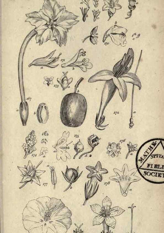 Reproducción/Reproduction 8448495206: A grammar of botany,. London,Longman,1821.