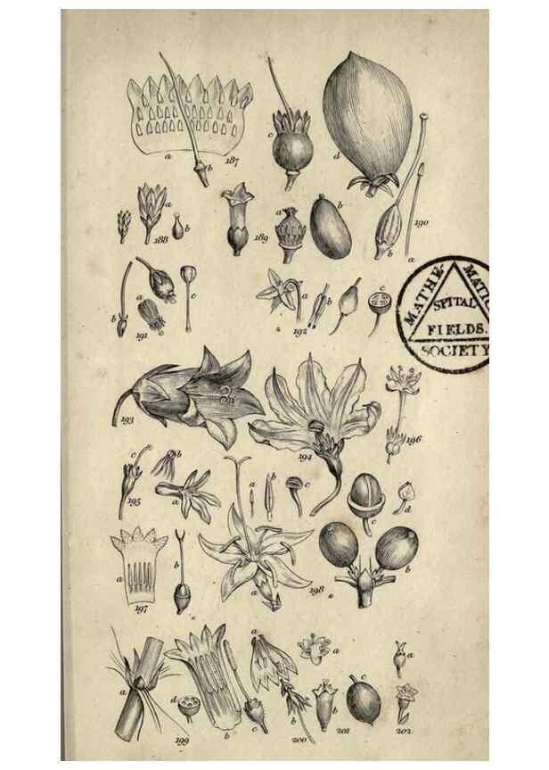 Reproducción/Reproduction 8448496362: A grammar of botany,. London,Longman,1821.