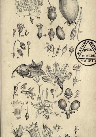 Reproducción/Reproduction 8448496362: A grammar of botany,. London,Longman,1821.