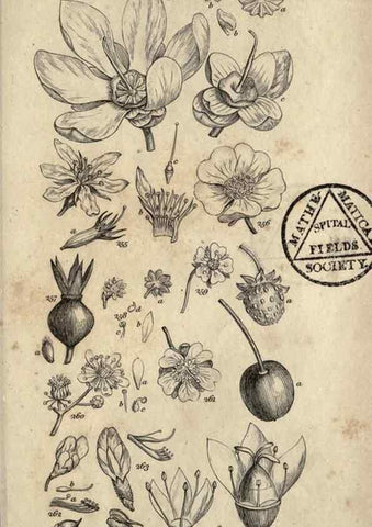 Reproducción/Reproduction 8448498336: A grammar of botany,. London,Longman,1821.