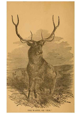 Reproducción/Reproduction 8465250848: Natural history of western wild animals and guide for hunters, trappers, and sportsmen;. Toledo, Ohio,blade printing & paper company,1875.