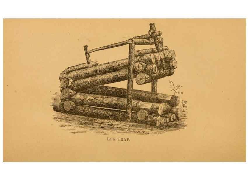 Reproducción/Reproduction 8464157205: Natural history of western wild animals and guide for hunters, trappers, and sportsmen;. Toledo, Ohio,blade printing & paper company,1875.