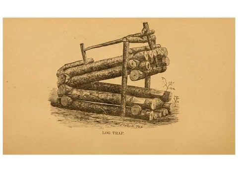 Reproducción/Reproduction 8464157205: Natural history of western wild animals and guide for hunters, trappers, and sportsmen;. Toledo, Ohio,blade printing & paper company,1875.