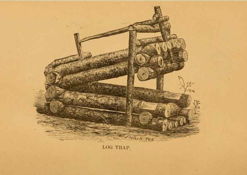 Reproducción/Reproduction 8464157205: Natural history of western wild animals and guide for hunters, trappers, and sportsmen;. Toledo, Ohio,blade printing & paper company,1875.