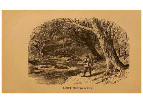 Reproducción/Reproduction 8465260282: Natural history of western wild animals and guide for hunters, trappers, and sportsmen;. Toledo, Ohio,blade printing & paper company,1875.