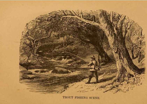 Reproducción/Reproduction 8465260282: Natural history of western wild animals and guide for hunters, trappers, and sportsmen;. Toledo, Ohio,blade printing & paper company,1875.
