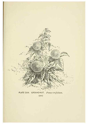 Reproducción/Reproduction 8443949793: A guide to the wild flowers,. New York,Stokes[1899]