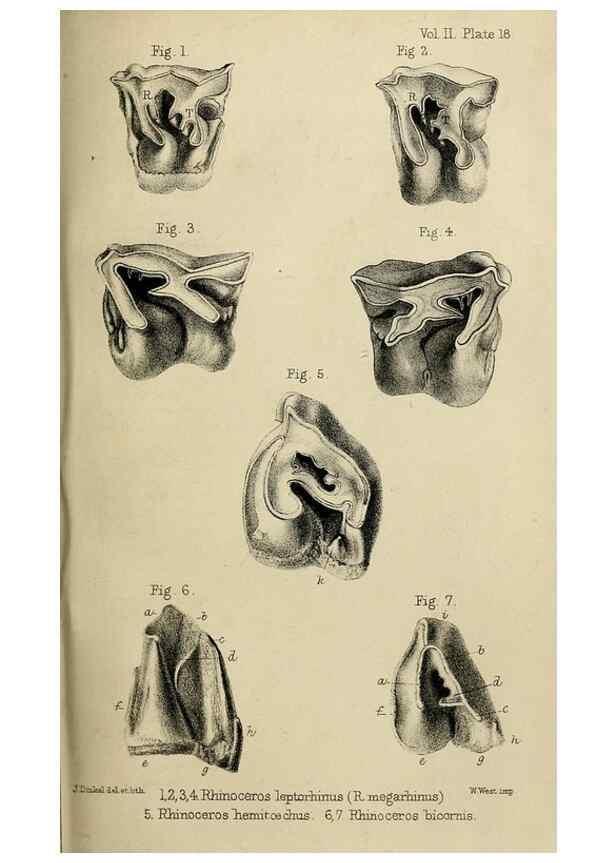 Reproducción/Reproduction 8435351181: Palaeontological memoirs and notes of H. Falconer, with a biographical sketch of the author.. London,1868.