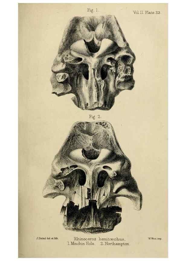 Reproducción/Reproduction 8436439956: Palaeontological memoirs and notes of H. Falconer, with a biographical sketch of the author.. London,1868.