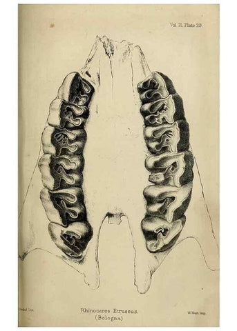 Reproducción/Reproduction 8435357471: Palaeontological memoirs and notes of H. Falconer, with a biographical sketch of the author.. London,1868.