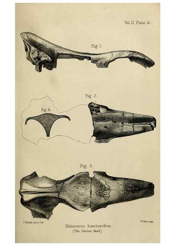 Reproducción/Reproduction 8436434810: Palaeontological memoirs and notes of H. Falconer, with a biographical sketch of the author.. London,1868.
