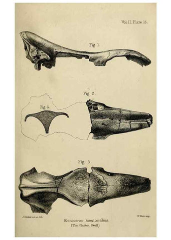 Reproducción/Reproduction 8436434810: Palaeontological memoirs and notes of H. Falconer, with a biographical sketch of the author.. London,1868.