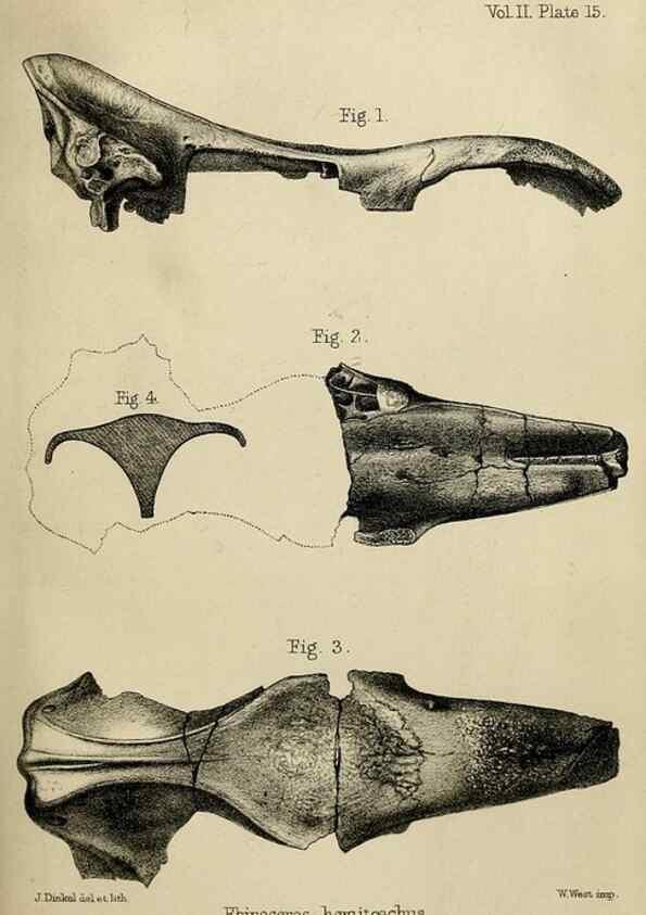 Reproducción/Reproduction 8436434810: Palaeontological memoirs and notes of H. Falconer, with a biographical sketch of the author.. London,1868.