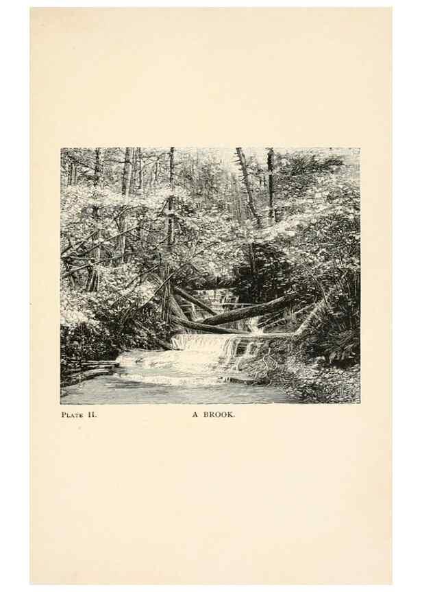 Reproducción/Reproduction 8494225353: Insect life;. New York,D.Appleton and Company,1897.