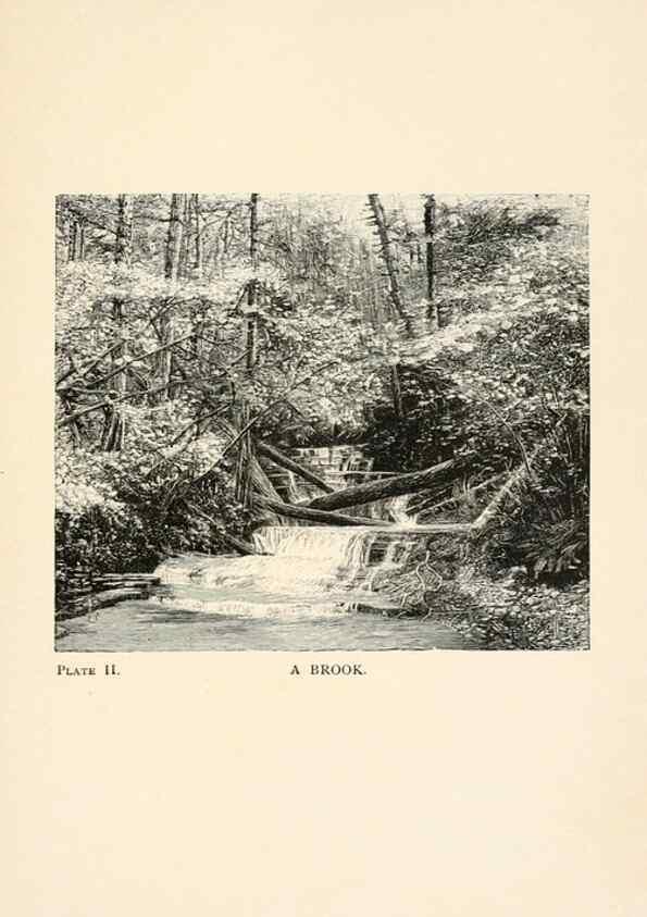 Reproducción/Reproduction 8494225353: Insect life;. New York,D.Appleton and Company,1897.