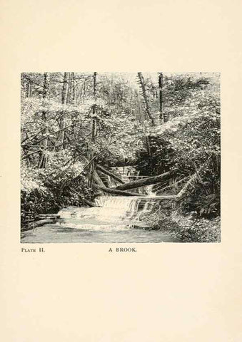 Reproducción/Reproduction 8494225353: Insect life;. New York,D.Appleton and Company,1897.