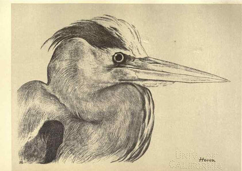 Reproducción/Reproduction 8510265651: Birds from Moidart and elsewhere /. Edinburgh :David Douglas,1895.