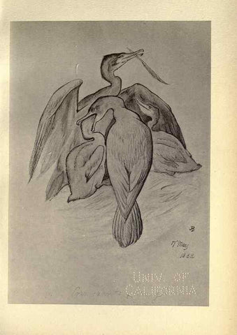Reproducción/Reproduction 8511391024: Birds from Moidart and elsewhere /. Edinburgh :David Douglas,1895.