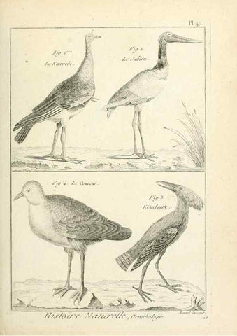 Reproducción/Reproduction 7850574288: Tableau encyclopédique et méthodique des trois règnes de la nature.. A Paris :Chez Mme. veuve Agasse ...,1823.