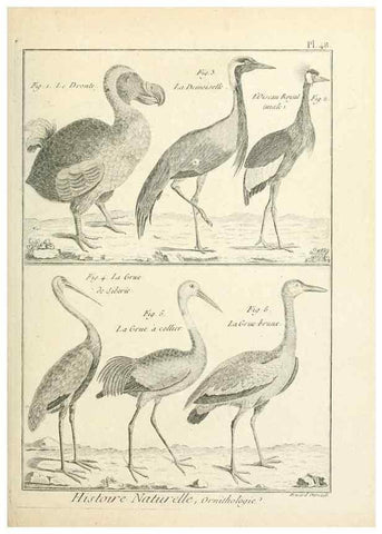 Reproducción/Reproduction 7850574862: Tableau encyclopédique et méthodique des trois règnes de la nature.. A Paris :Chez Mme. veuve Agasse ...,1823.