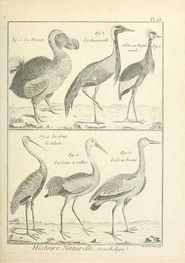 Reproducción/Reproduction 7850574862: Tableau encyclopédique et méthodique des trois règnes de la nature.. A Paris :Chez Mme. veuve Agasse ...,1823.