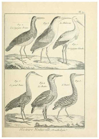 Reproducción/Reproduction 7850575416: Tableau encyclopédique et méthodique des trois règnes de la nature.. A Paris :Chez Mme. veuve Agasse ...,1823.