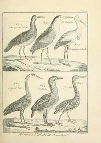 Reproducción/Reproduction 7850575416: Tableau encyclopédique et méthodique des trois règnes de la nature.. A Paris :Chez Mme. veuve Agasse ...,1823.