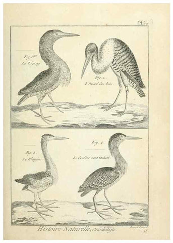Reproducción/Reproduction 7850576116: Tableau encyclopédique et méthodique des trois règnes de la nature.. A Paris :Chez Mme. veuve Agasse ...,1823.