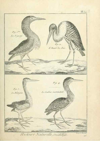 Reproducción/Reproduction 7850576116: Tableau encyclopédique et méthodique des trois règnes de la nature.. A Paris :Chez Mme. veuve Agasse ...,1823.