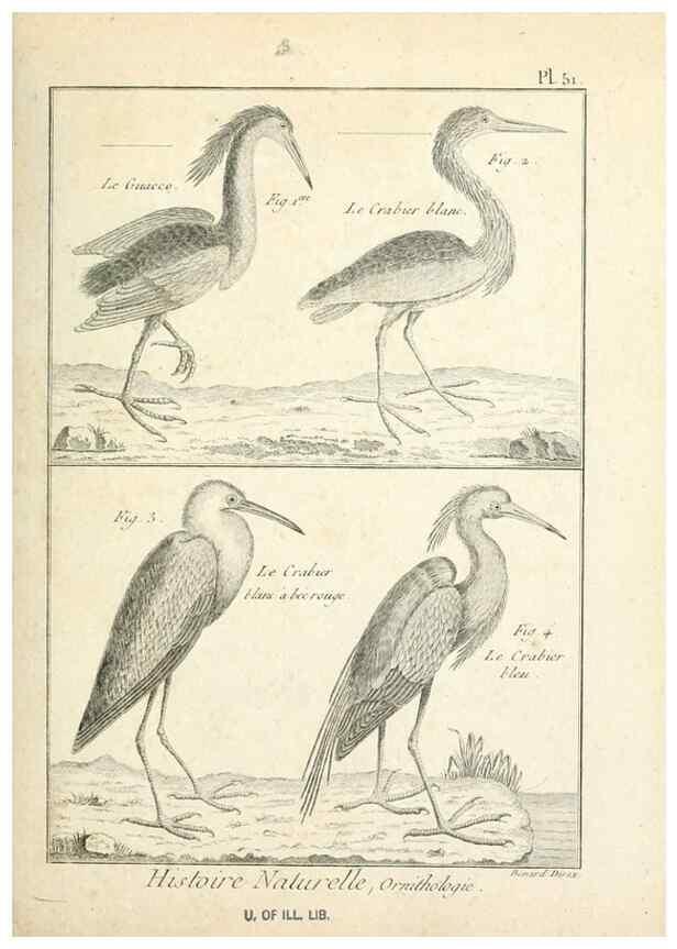 Reproducción/Reproduction 7850576788: Tableau encyclopédique et méthodique des trois règnes de la nature.. A Paris :Chez Mme. veuve Agasse ...,1823.