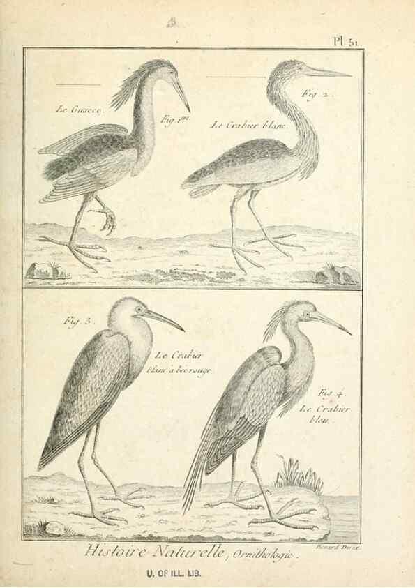 Reproducción/Reproduction 7850576788: Tableau encyclopédique et méthodique des trois règnes de la nature.. A Paris :Chez Mme. veuve Agasse ...,1823.