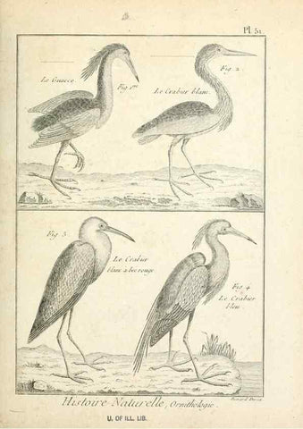 Reproducción/Reproduction 7850576788: Tableau encyclopédique et méthodique des trois règnes de la nature.. A Paris :Chez Mme. veuve Agasse ...,1823.