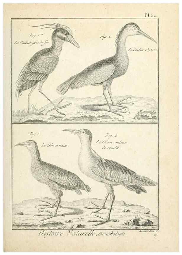 Reproducción/Reproduction 7850577468: Tableau encyclopédique et méthodique des trois règnes de la nature.. A Paris :Chez Mme. veuve Agasse ...,1823.