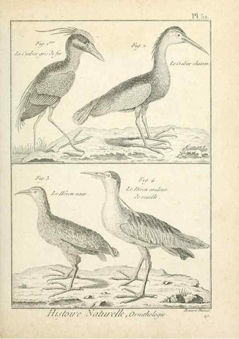 Reproducción/Reproduction 7850577468: Tableau encyclopédique et méthodique des trois règnes de la nature.. A Paris :Chez Mme. veuve Agasse ...,1823.