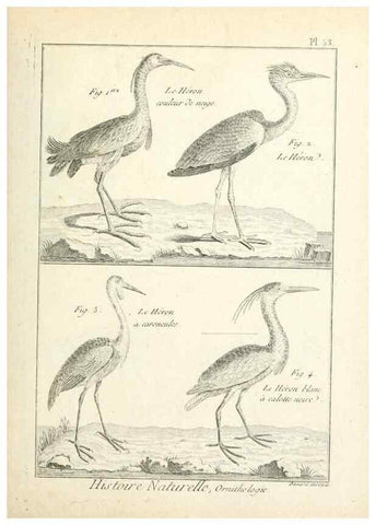 Reproducción/Reproduction 7850578062: Tableau encyclopédique et méthodique des trois règnes de la nature.. A Paris :Chez Mme. veuve Agasse ...,1823.