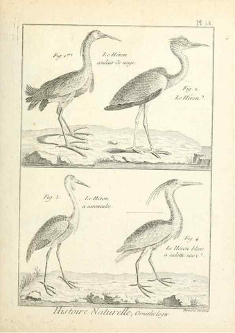 Reproducción/Reproduction 7850578062: Tableau encyclopédique et méthodique des trois règnes de la nature.. A Paris :Chez Mme. veuve Agasse ...,1823.