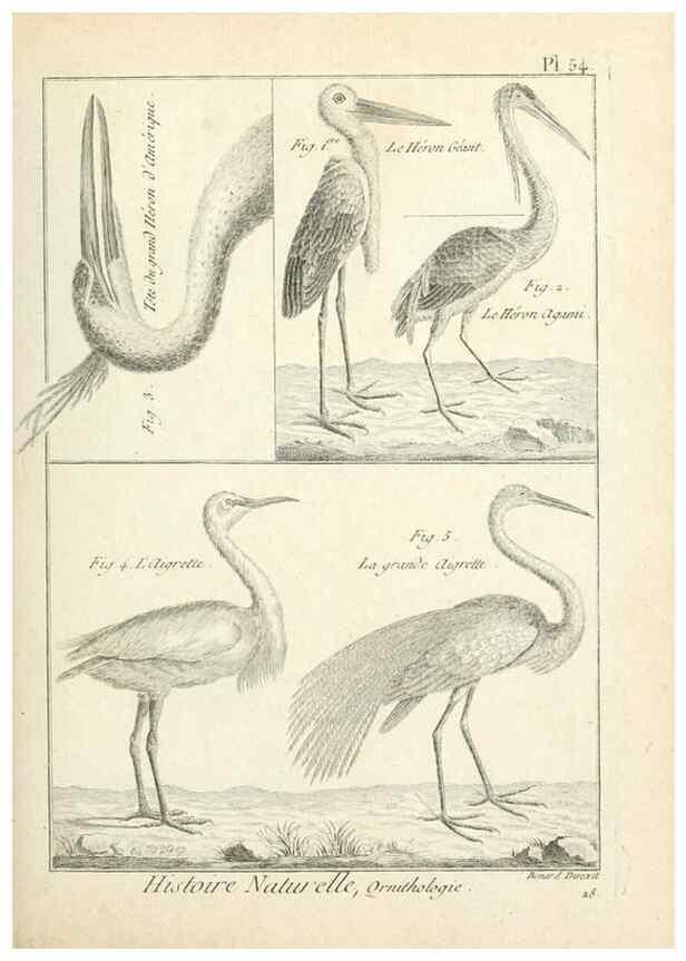 Reproducción/Reproduction 7850578732: Tableau encyclopédique et méthodique des trois règnes de la nature.. A Paris :Chez Mme. veuve Agasse ...,1823.